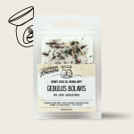 GEBULUS BOLAVIS
